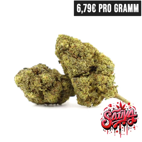 10-OH-HHC Blueten Mimosa